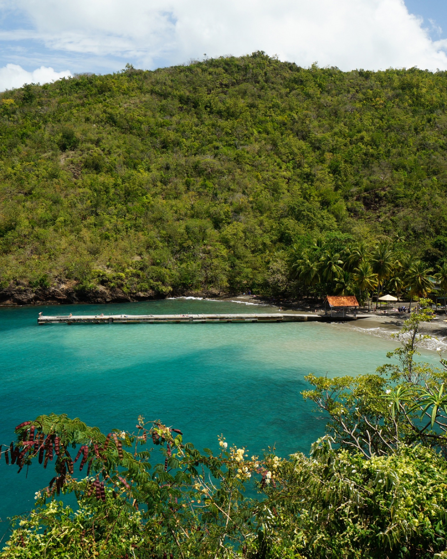 Une anse turquoise entourée de végétation en Martinique