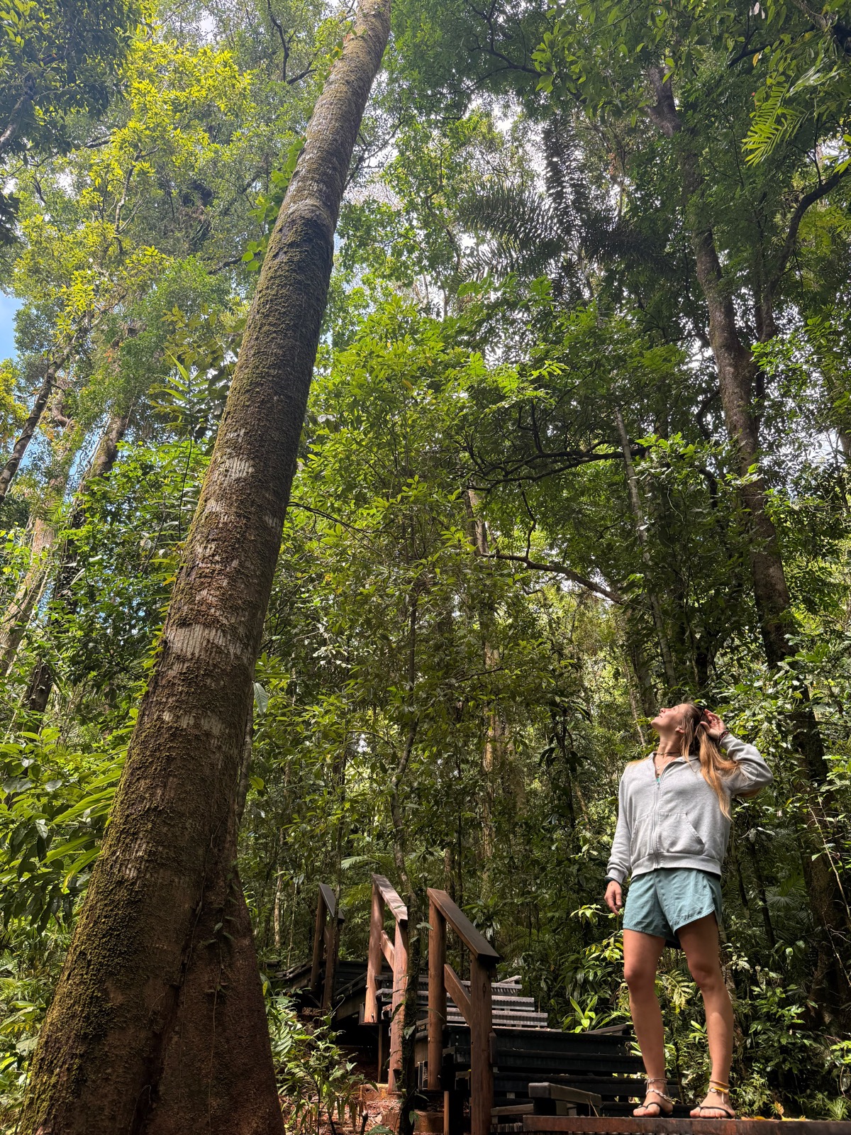 Charlotte dans la forêt lors de son retour en Australie en 2026