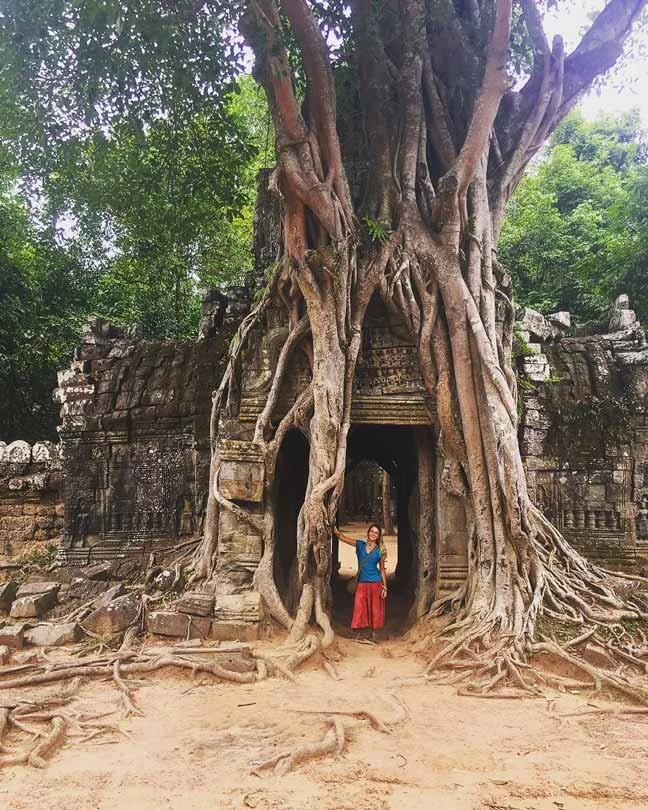 Temple ancien enlacé par les racines au Cambodge